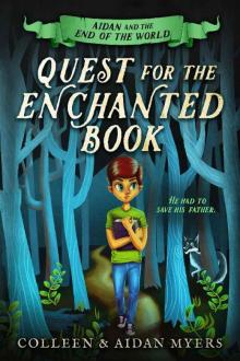 Quest for the Enchanted Book