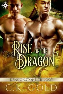 Rise of the Dragon