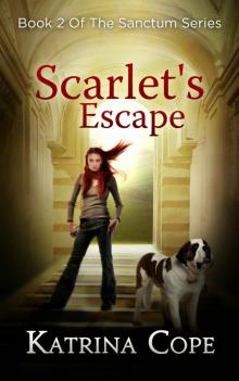 Scarlet's Escape Read online