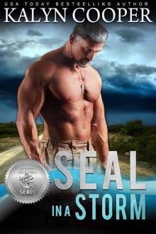SEAL in a Storm: Silver SEALs Series Book 5, Connected to Guardian Elite Series Read online