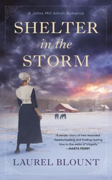 Shelter in the Storm Read online