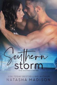 Southern Storm ( The Southern Series Book 3) (Souther Series)