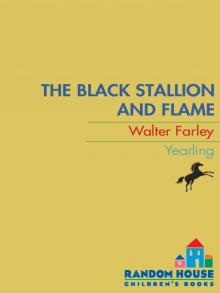 The Black Stallion and Flame Read online