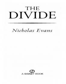 The Divide Read online