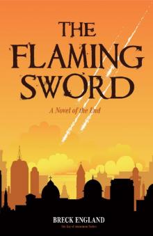 The Flaming Sword Read online