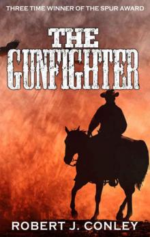 The Gunfighter Read online