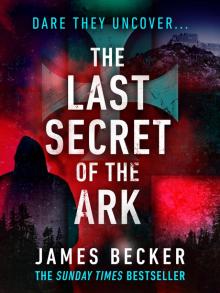 The Last Secret of the Ark Read online