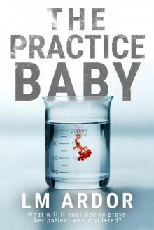 The Practice Baby Read online