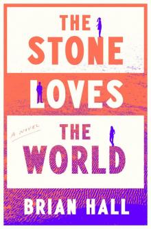 The Stone Loves the World Read online