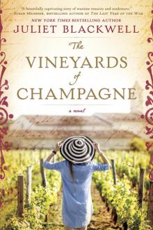 The Vineyards of Champagne Read online