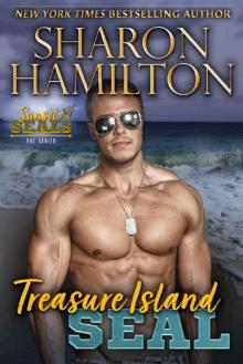 Treasure Island SEAL: Pirate SEAL Rescues his Mermaid (Sunset SEALs Book 3) Read online