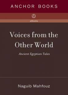 Voices From the Other World Read online