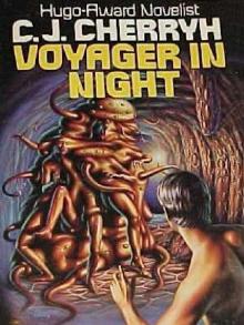 Voyager in Night Read online