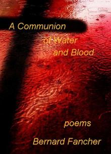 A Communion of Water and Blood Read online