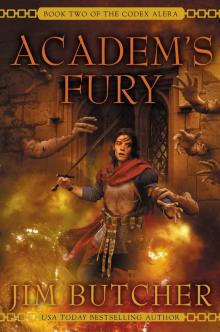 Academs Fury Read online