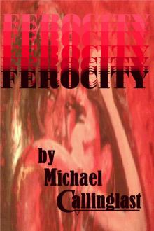 Ferocity Read online