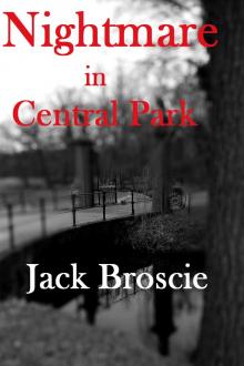 Nightmare in Central Park Read online