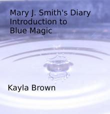 The Diary of Mary J. Smith Read online