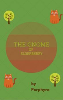 The Gnome of Elderberry Read online