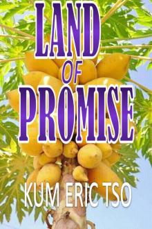 Land of Promise Read online
