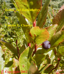 Heibai and Huckleberry Read online
