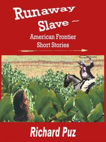 Runaway Slave Read online