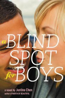 A Blind Spot for Boys Read online