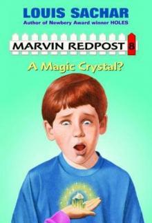A Magic Crystal? Read online