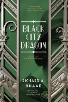 Black City Dragon Read online