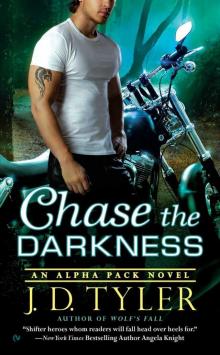 Chase the Darkness Read online