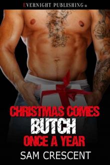 Christmas Comes Butch Once a Year (The Skulls Book 16) Read online
