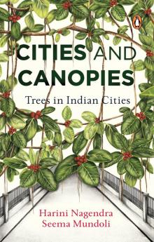 Cities and Canopies