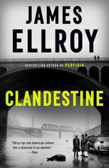 Clandestine Read online