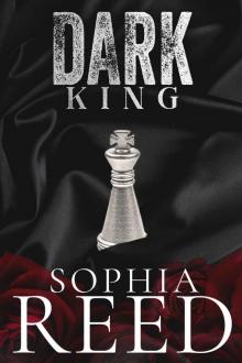 Dark King: A Mafia Romance Read online