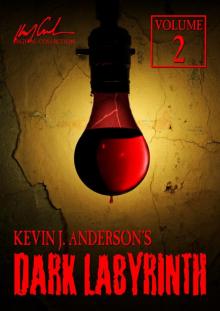 Dark Labyrinth 2 Read online