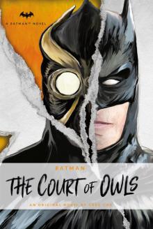 DC Comics novels--Batman Read online