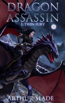 Dragon Assassin 1: Twin Fury Read online