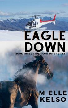 Eagle Down (Cyber Cowboys Series Book 3) Read online