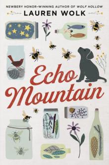 Echo Mountain Read online