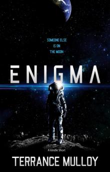 Enigma Read online