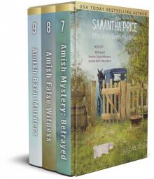 Ettie Smith Amish Mysteries Box Set 3 Read online