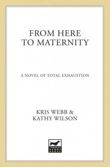 From Here to Maternity Read online
