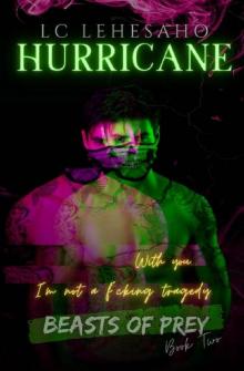 HURRICANE (Beasts of Prey Book 2)