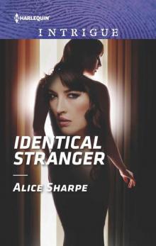Identical Stranger (HQR Intrigue) Read online