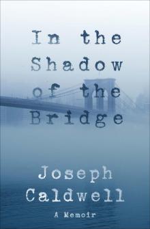 In the Shadow of the Bridge Read online
