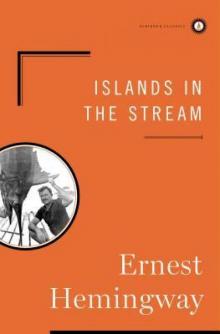 Islands in the Stream Read online