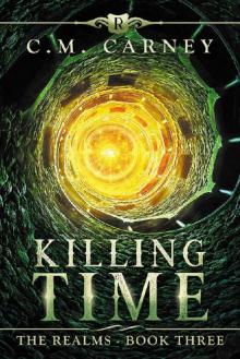 Killing Time: The Realms Book Three: (An Epic LitRPG Series) Read online