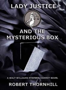 Lady Justice and the Mysterious Box Read online