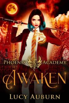 Phoenix Academy: Awaken: A Paranormal Reverse Harem Romance