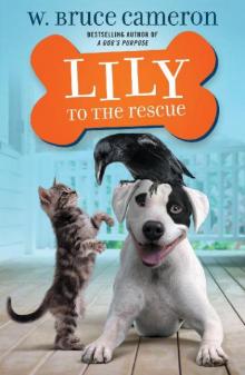 Rescue 01 - Lily to the Rescue Read online